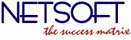 Netsoft logo